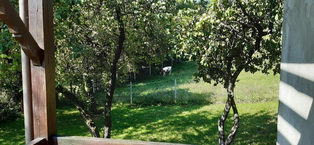 Agroturystyka Nad Czarnym Giby Eksteriør bilde