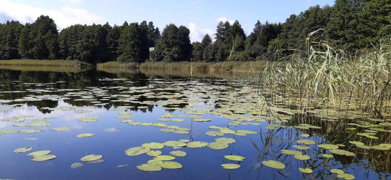 Agroturystyka Nad Czarnym Giby Eksteriør bilde